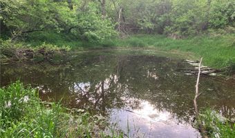 N3953-89 Bear Pen Road, Arkansaw, WI 54721