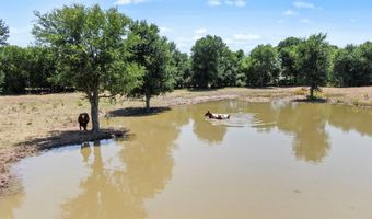 600 Wilson Bend Rd, Millsap, TX 76066