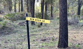 Red Deer Lane lot 2, Bonanza, OR 97623
