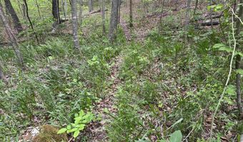 7046 S State Road 145, Birdseye, IN 47513