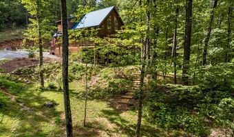 585 Valley View Heights Ln, Andrews, NC 28901