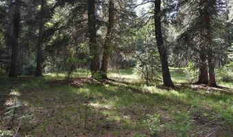 Vallecito Pl, Bayfield, CO 81122
