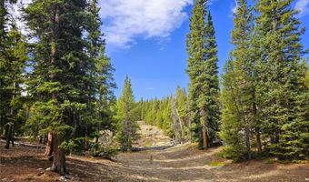 PCS # 7765 & 12057 Rollies Trail lot 0, Alma, CO 80420