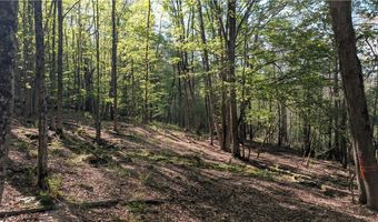 East River Road lot 5, Andes, NY 13731
