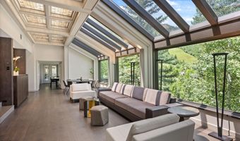 730 S Galena St, Aspen, CO 81611