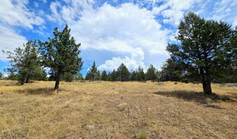 Canvasback Drive 28, Bonanza, OR 97623