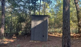 259 Forest Lake Rd, Beaumont, MS 39423