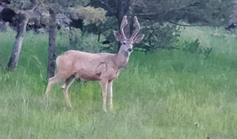 PN TBD BACHE ST & MESITA DR, Alto, NM 88312