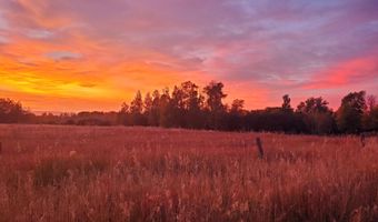 2780 N BLACK SHEEP FARM Rd, Alta, WY 83414