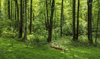 COUNTRY CREEK LN, Amissville, VA 20106