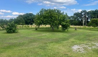 97 COUNTY ROAD 142, Arley, AL 35541