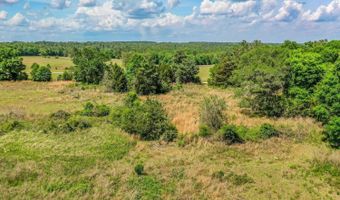 1704 Cobb Rd, Baker, FL 32531