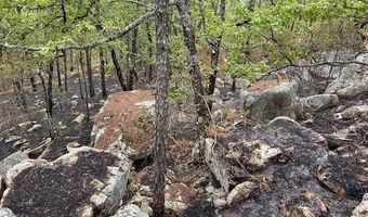 TBD Kiamichi Wilderness, Antlers, OK 74523