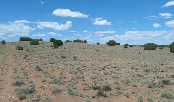 Tbd Ranch of the White Mountains, Concho, AZ 85924