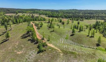 489 FOURWING LAKE Rd Lot 0, Alabaster, AL 35007