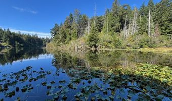 88627 WEISS ESTATES Ln, Bandon, OR 97411