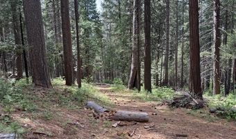 3129 Crystal Way, Arnold, CA 95223