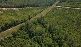 Tucker Road lot 9, Bath Springs, TN 38311