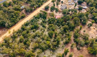 Sorrento Avenue, Alford, FL 32420