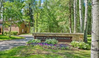 155 Lone Pine - River Blf #C2, Aspen, CO 81611