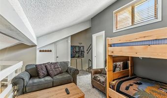 550 S FRENCH St 205, Breckenridge, CO 80424