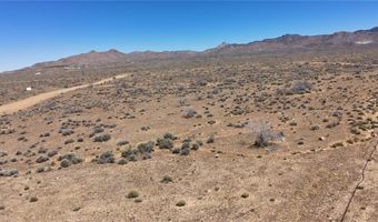 308-19 248 N Abeche Dr, Chloride, AZ 86431