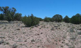 Tbd Rio Ranch, Concho, AZ 85924