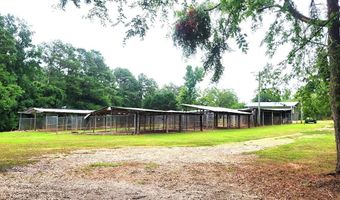 1110 Puckett Town Rd, Bradley, SC 29819