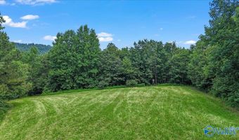 Unit # 0 Murphree Valley Road, Altoona, AL 35952