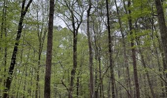 Ridge Road lot E, Appling, GA 30802