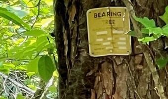 Coperas Cave Branch, Beattyville, KY 41311