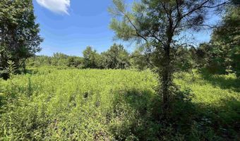 179 Little River 67 Rd, Ashdown, AR 71822