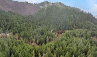 Upper Cow Creek Road, Azalea, OR 97410