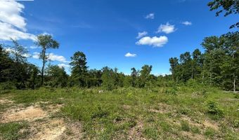 MT ZION RD, Big Sandy, TN 38221