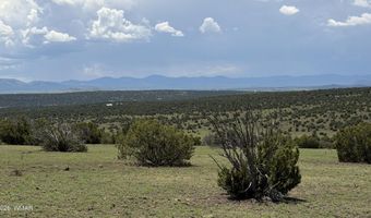141 N8515, Concho, AZ 85924