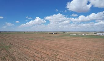 Shepard St, Abernathy, TX 79311