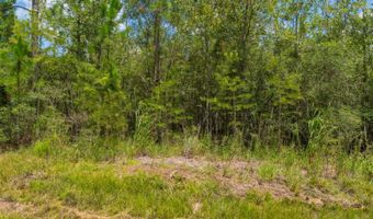 Val Del Road, Adel, GA 31620