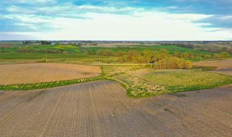 Vine Avenue, Ainsworth, IA 52201