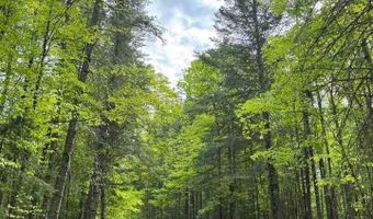 TBD W Shipley Rd, Alborn, MN 55702