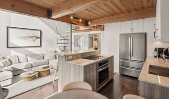 1024 E Cooper Ave 3A, Aspen, CO 81611