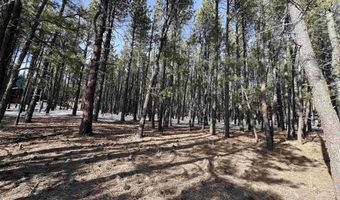 Lot 563 Lakeview Park Drive, Angel Fire, NM 87710