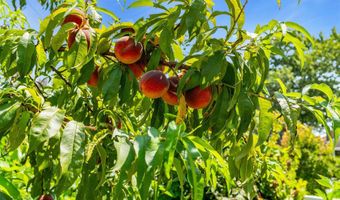 65 N Island Rd, Bayville, NJ 08721