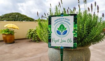 14 Aulike St 904, Kailua, HI 96734