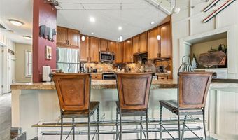 550 S FRENCH St 205, Breckenridge, CO 80424