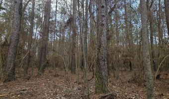 U.S. Highway 51, Bogue Chitto, MS 39629