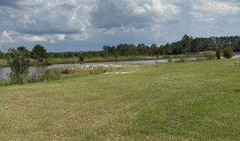 228 Zoarbella Dr, Baxley, GA 31513