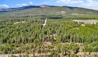 181 E Deer Meadow Ln, Blanchard, ID 83804