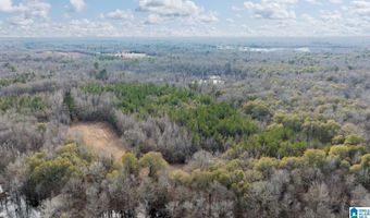 BRUSH CREEK DRIVE lot 0, Akron, AL 35441