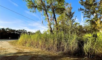 0 SR-19, Altoona, FL 32702