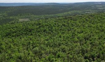 TR 32 & 33 LONG CREEK PASS, Albion, OK 74571